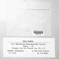 Image Associated With the Occurence